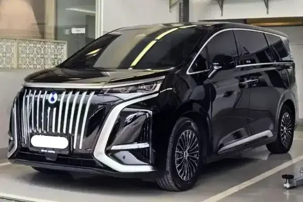 sewa mobil listrik denza d9